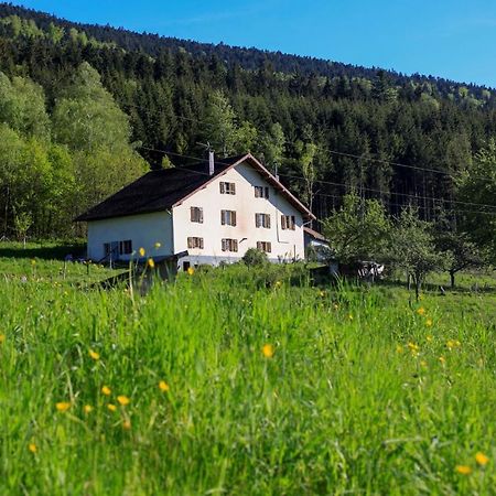 Le Guardabarranco Saulxures-sur-Moselotte Buitenkant foto